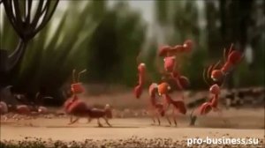 Мультфильм о силе единства