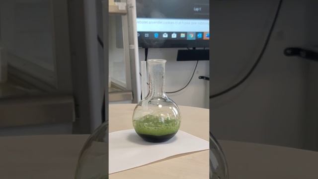 Kobalt som katalysator ved 70 grader смотреть онлайн