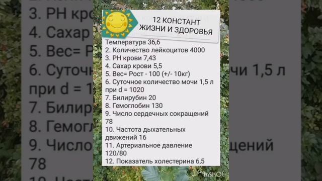 ❤️💕😘 смотреть онлайн