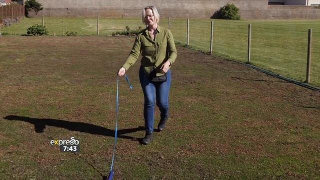 Daily Tip: Teach Your Dog to Play with Toys (NEXGARD) смотреть онлайн