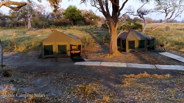 Mobile Safari in Botswana смотреть онлайн