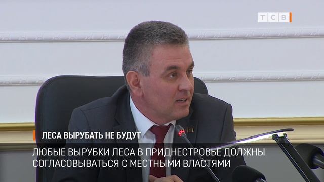 Леса вырубать не будут смотреть онлайн