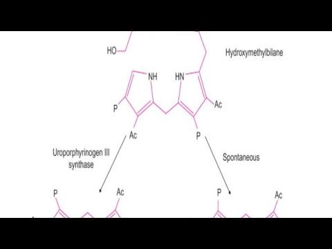 Interesting point! I Biosynthesis of Heme l Biochemistry _ MBBS First year смотреть онлайн
