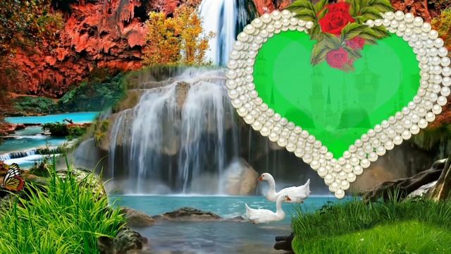 Doyar Nabi Ji Amra Tomay Bhulte Parina || Bengoli Gojol || By Muhammad Saifur Rahman смотреть онлайн