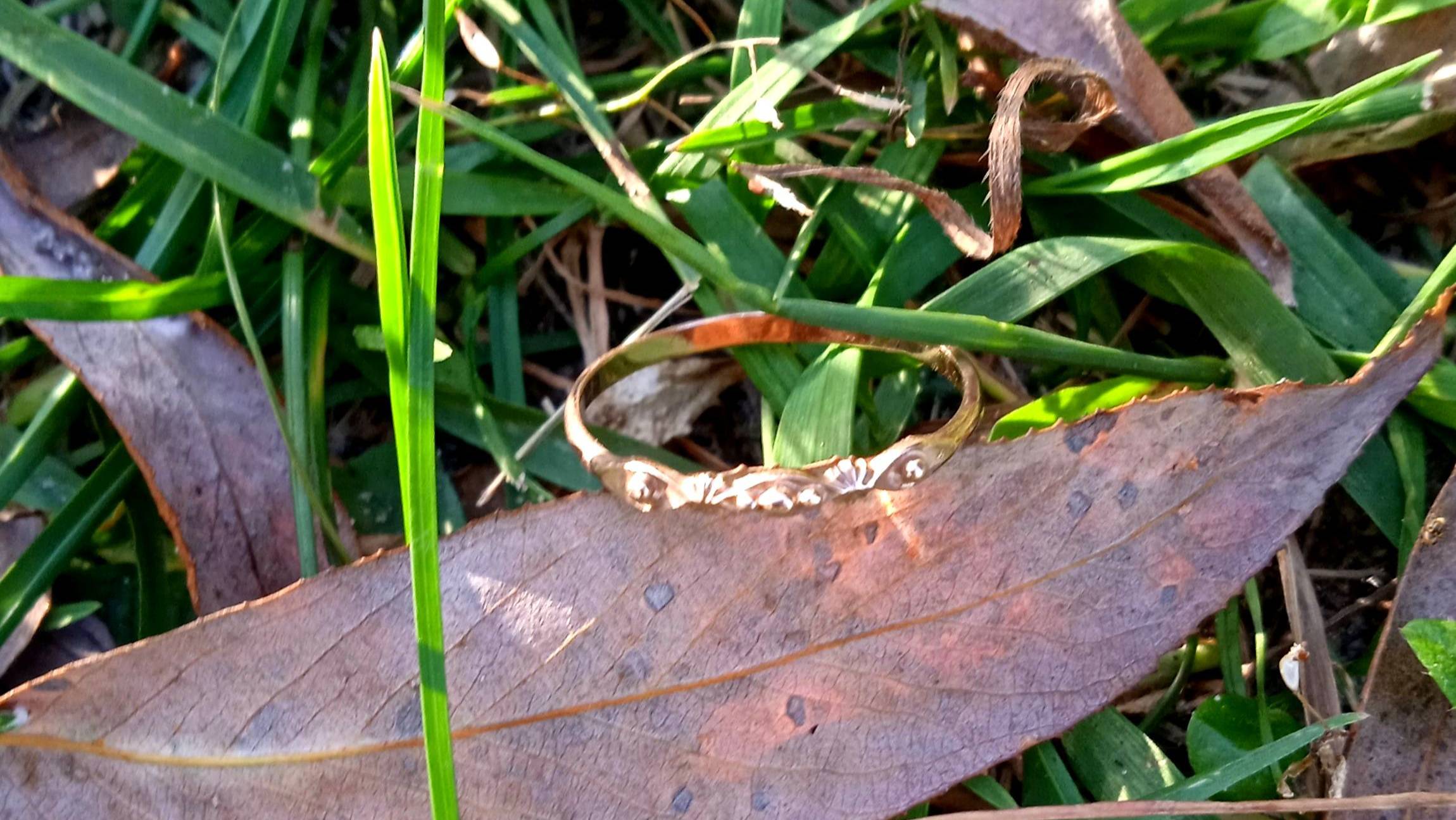 Пляжное золото 2024! смотреть онлайн