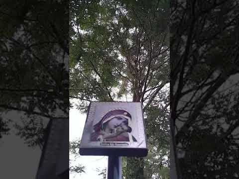 Псалтырь на закате солнца.Кафизма 7. смотреть онлайн