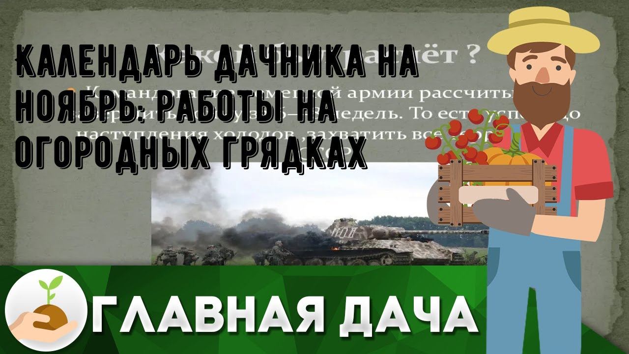 Календарь дачника на ноябрь: работы на огородных грядках смотреть онлайн