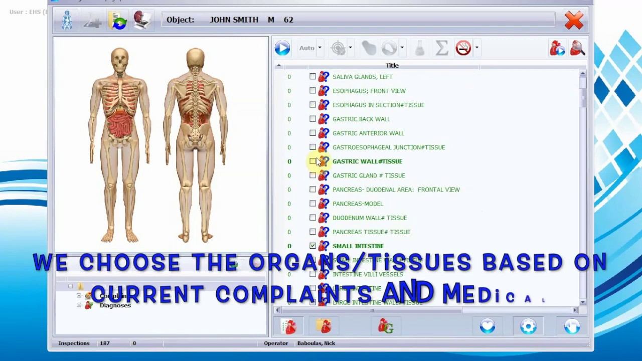 Sensitiv Imago Key Concepts: Choosing Organs/Tissues for a NEW SCAN: Part 2 смотреть онлайн