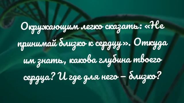 Цитаты и афоризмы. смотреть онлайн