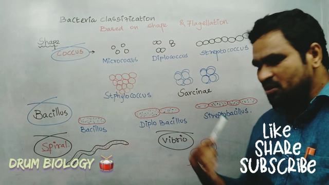 Bacteria-shape&position of flagella-பாக்டீரியா வடிவம்&கசையிலை in tamil and English by mohamed gani смотреть онлайн
