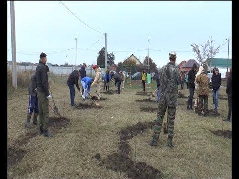 В ст.Тбилисской высадили аллею памяти воинов Афганцев