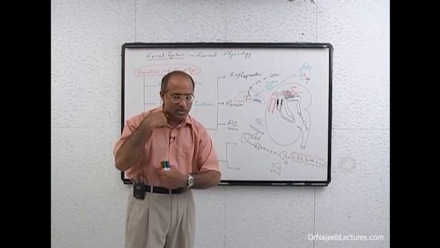 Functions Of Kidneys | Physiology And Structure | Dr Najeeb