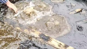 Дагестан лечебная вода берикей 2024 год