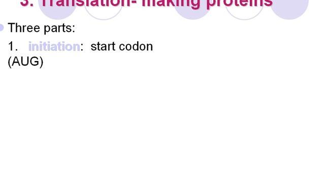 1_19 Protein Synthesis