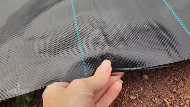 Агроткань в питомнике растений|Не совершайте наших ошибок 🥲