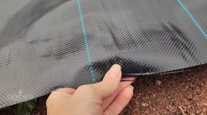 Агроткань в питомнике растений|Не совершайте наших ошибок 🥲