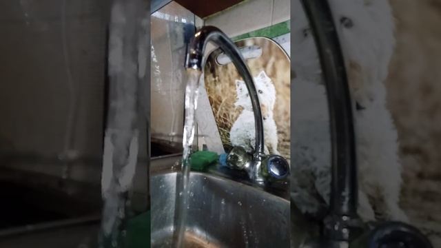 Режу воду смотреть онлайн