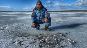Зимняя рыбалка на корюшку. Ловля корюшки по последнему льду. Финский залив 2022