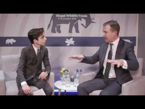 Aidan Gallagher interview with John E. Scanlon смотреть онлайн