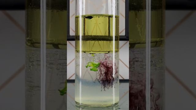 Oil water acid and base #mesmerizing #chemistry #macro #torridialVorticies #fluidart #fluiddynamics смотреть онлайн