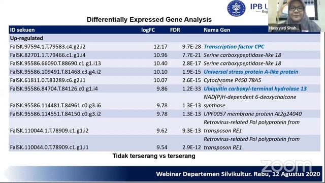 Webinar Series DSVK (Seri 4) смотреть онлайн