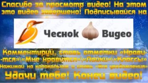 3 варианта рекламной видеозаставки телеканала Рен-ТВ (Рождество 2023-2024) от 20.12.2023 в эфире РЕН
