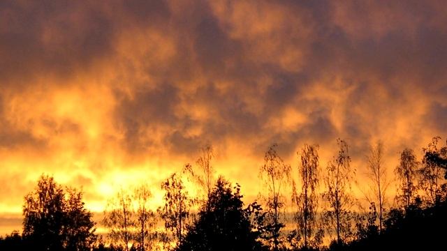 Девичьи грезы. Муз. В. Кульшетова, исп. Анна Панкратова смотреть онлайн