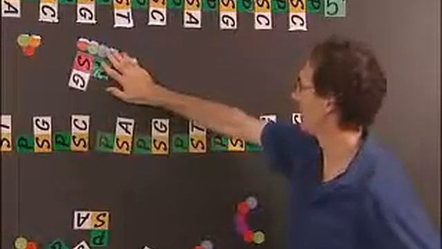 BioClickz DNA Replication