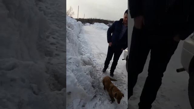 И снова в нашем доме прибыло. УРААА! смотреть онлайн