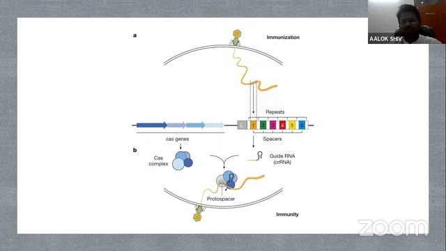 Genome Editing:CRISPR Cas9 | Dr. Alok Shiv(Scientist,Indian Institute of Sugarcane Research,Lucknow смотреть онлайн