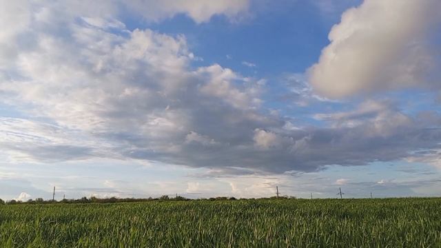 Трансформация организма. смотреть онлайн