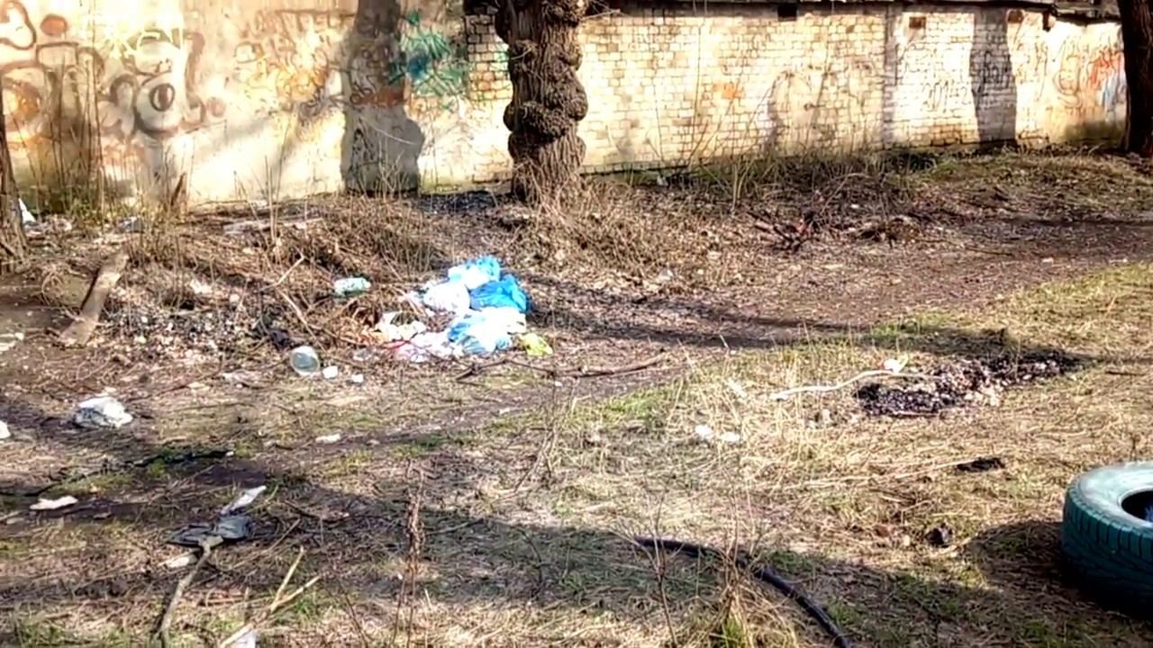 Мусор рассыпан в сквере. Кто виноват?! смотреть онлайн