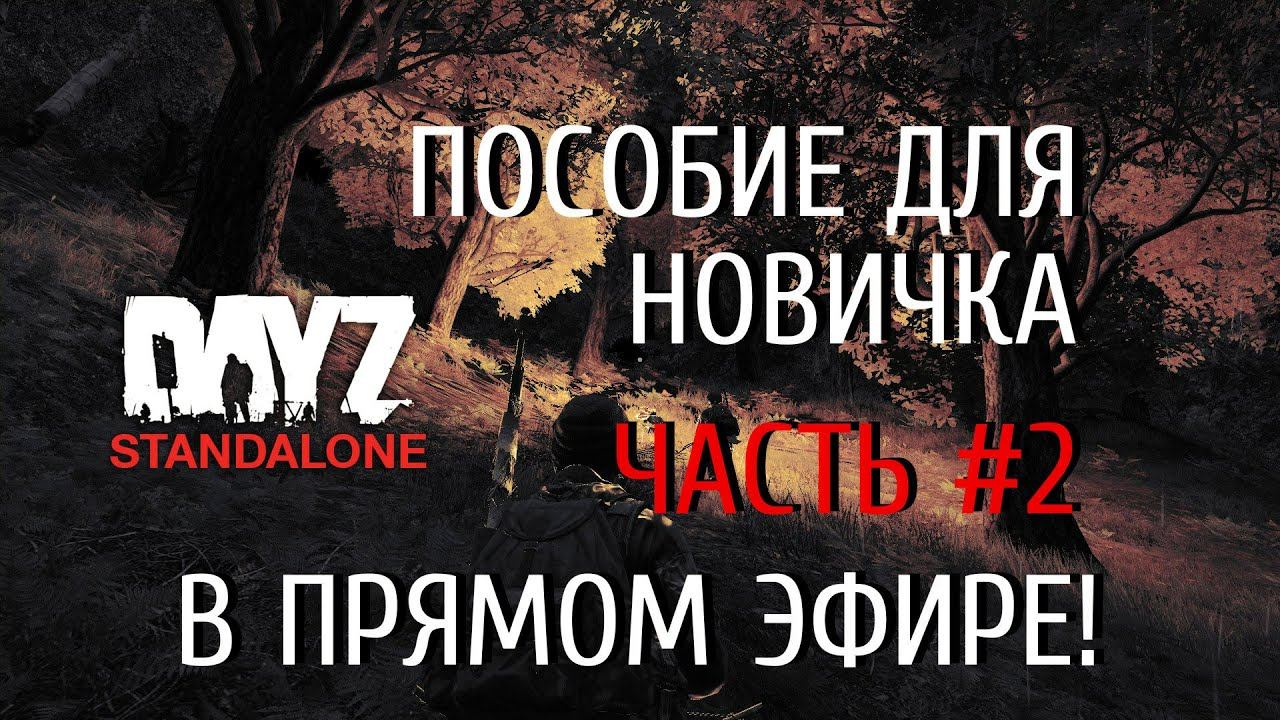 Стрим с PlayGod | пособие для новичков ч.2 | DayZ SA смотреть онлайн