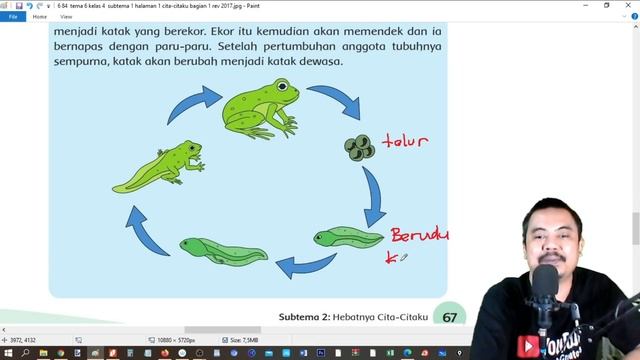 tema 6 kelas 4 subtema 2 halaman 61 72 cita citaku bagian 8 rev 2017 смотреть онлайн