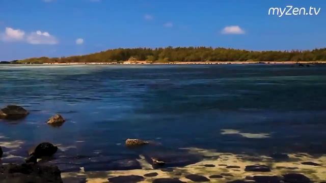 Курсы литературы