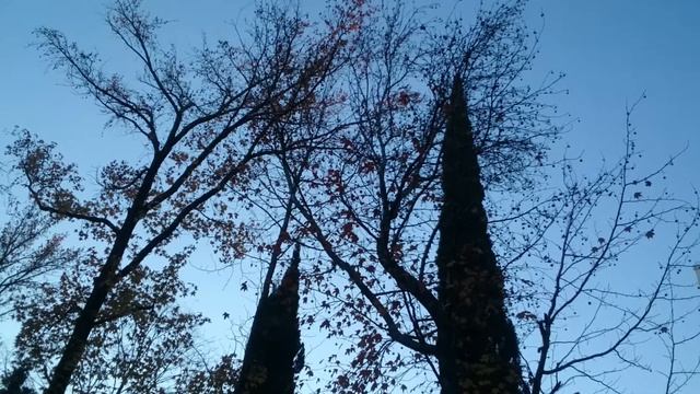 Найди белку ;-) смотреть онлайн