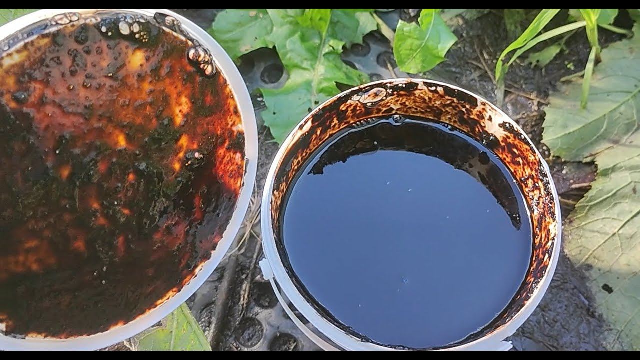 В АПРЕЛЕ ПРОЛЕЙТЕ ВЕСЬ ОГОРОД ДЛЯ БОЛЬШОГО УРОЖАЯ, самые лучшие удобрения для сада и огорода смотреть онлайн