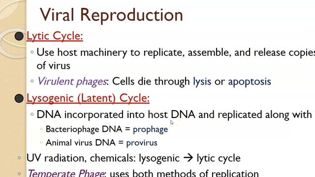 Viruses смотреть онлайн