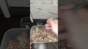 Студень-холодец из мяса косули