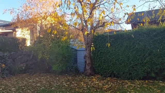 14. Mon petit jardin octobre/novembre 2023. смотреть онлайн