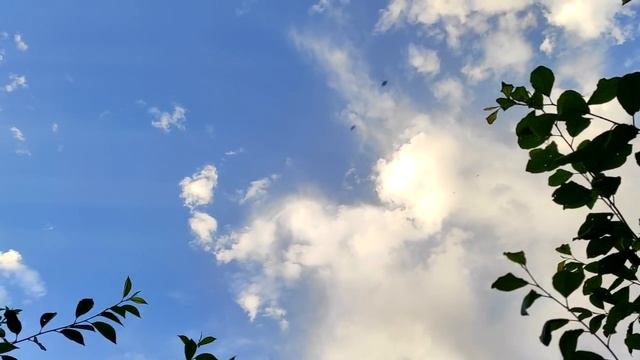 6 признаков, что вашей добротой злоупотребляют окружающие. смотреть онлайн