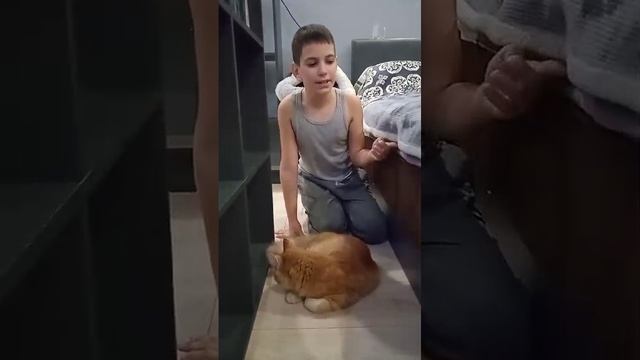 потерял мы котик.mp4 смотреть онлайн