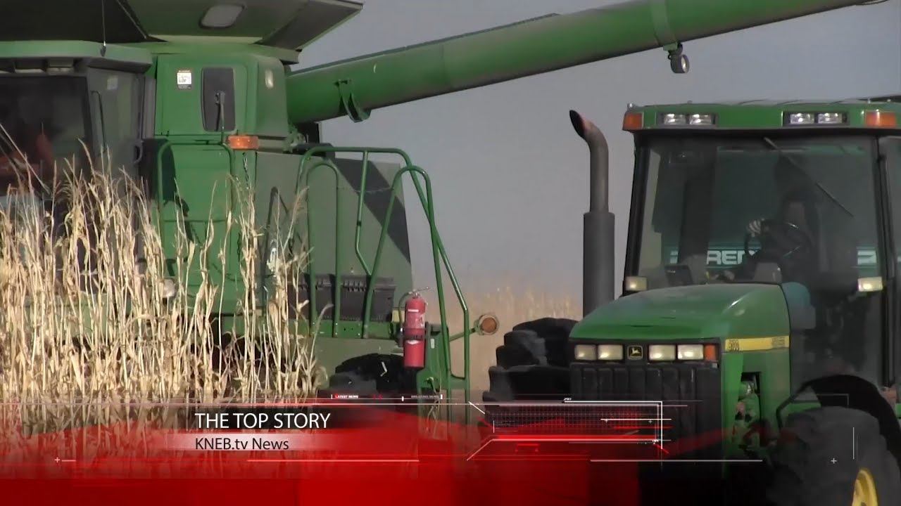 KNEB.tv News: October 22, 2020 смотреть онлайн