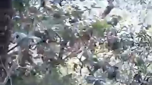 Quando o Ripclip trava... смотреть онлайн