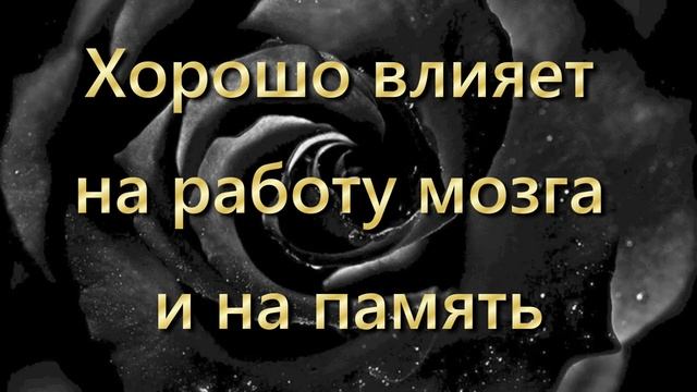 10 растений для дома как успокоительное лекарство смотреть онлайн