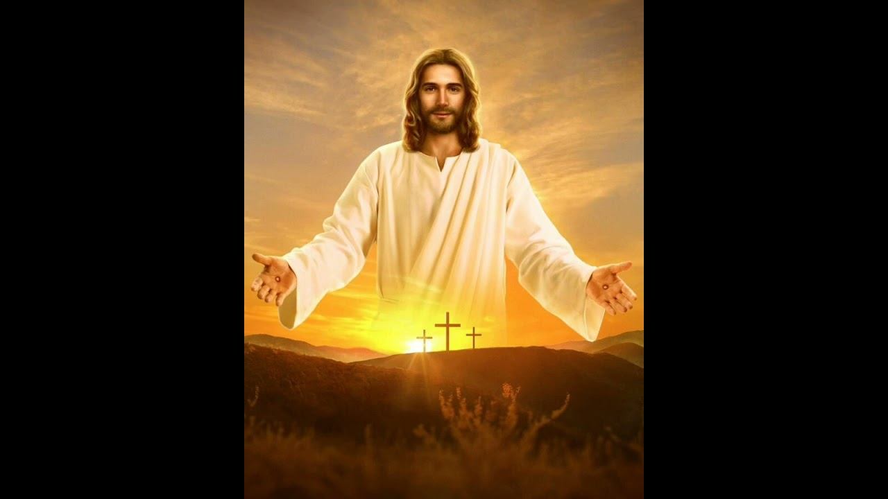 🌾🙏🌅 смотреть онлайн