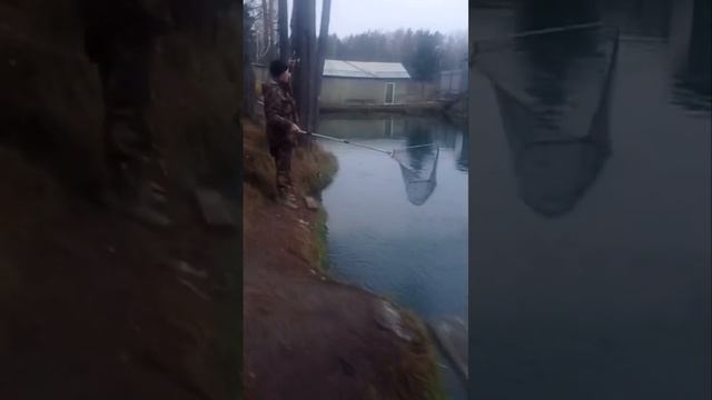 поимки смотреть онлайн