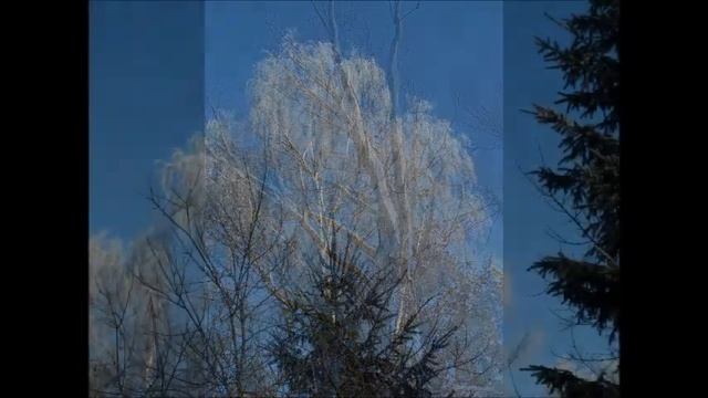 АЛЛЕЛЬ. ЗИМА НА ДАЧЕ смотреть онлайн