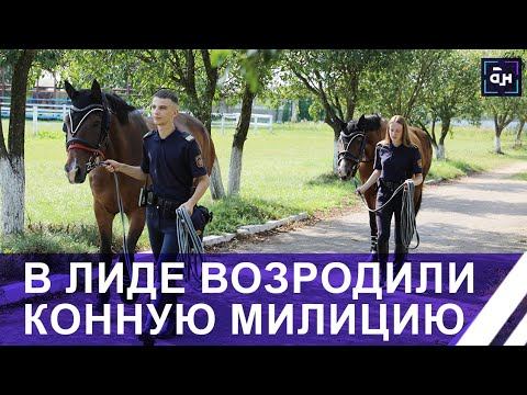 Единственный в Беларуси конный патруль работает в Лиде: как лошади помогают людям. Панорама смотреть онлайн