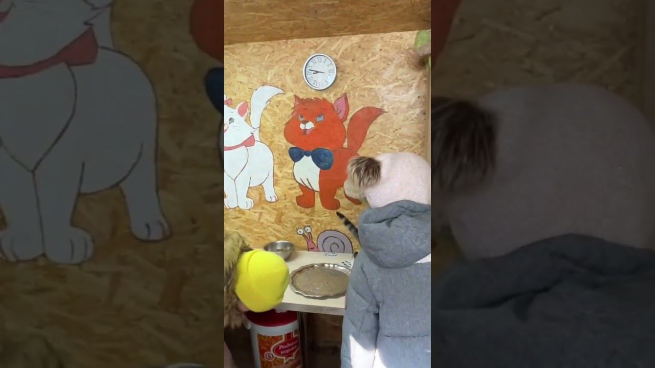 ♥️ #леснаясказка гости заходят в кошкин дом смотреть онлайн
